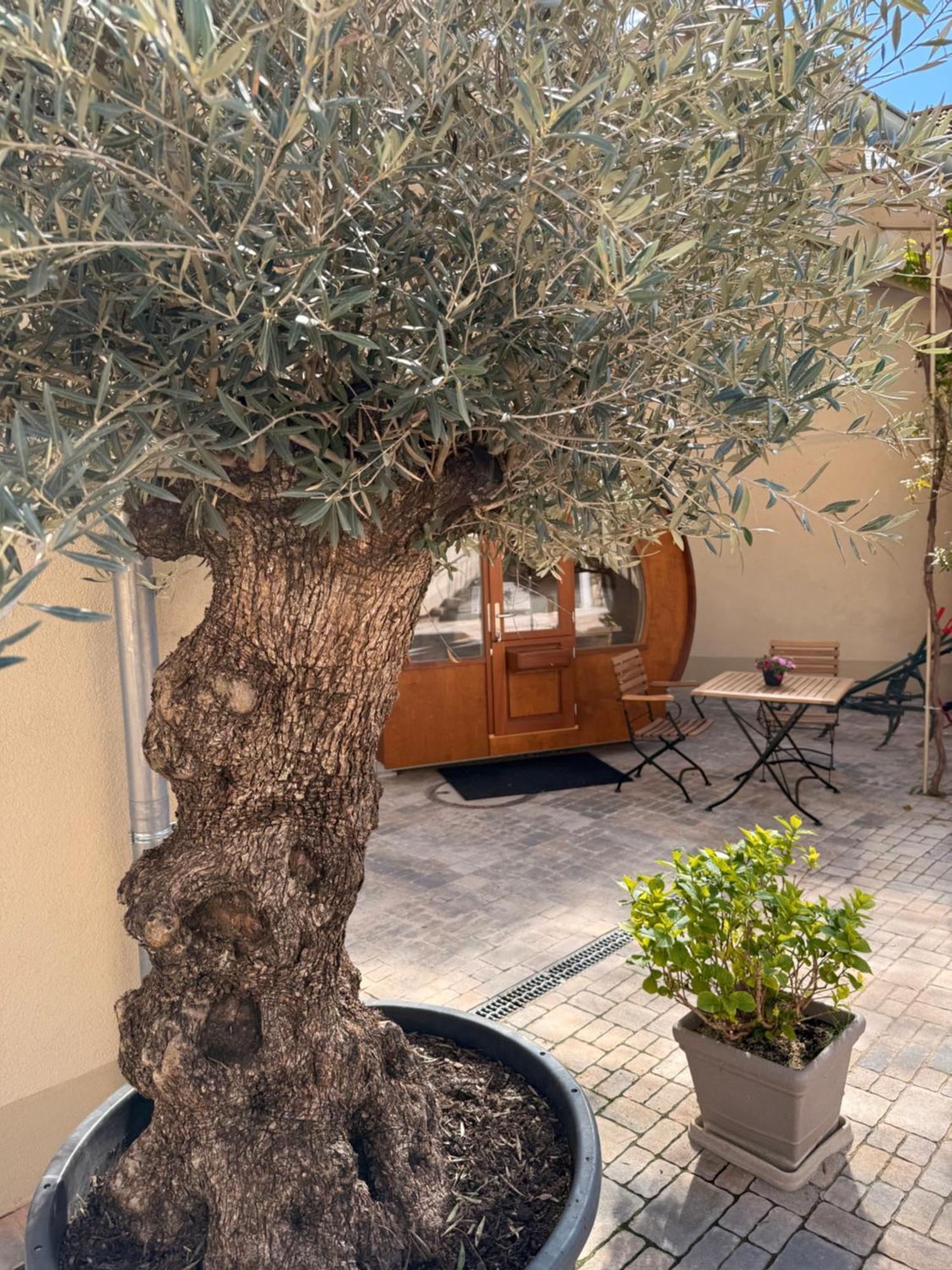 فندق Weinhaus Selmigkeit بينجين ام راين المظهر الخارجي الصورة